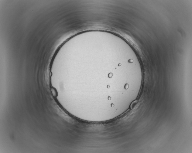 X0000111491238200908111217