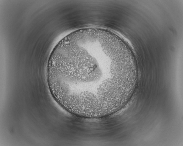 X0000111491239200908111217