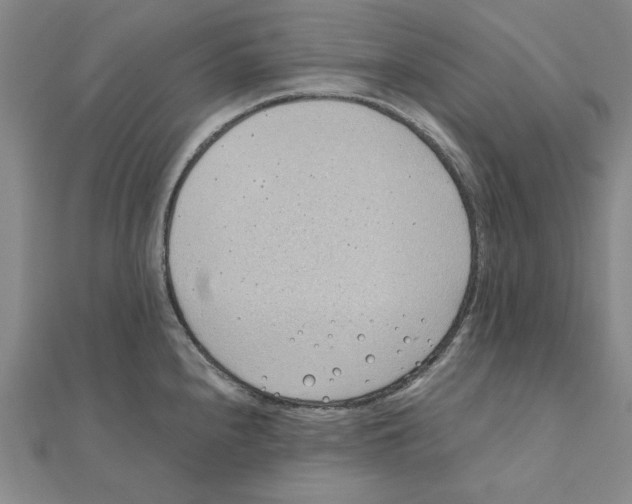 X0000111491240200908111217
