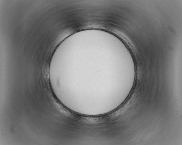 X0000111491241200908111217