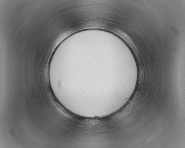 X0000111491242200908111217