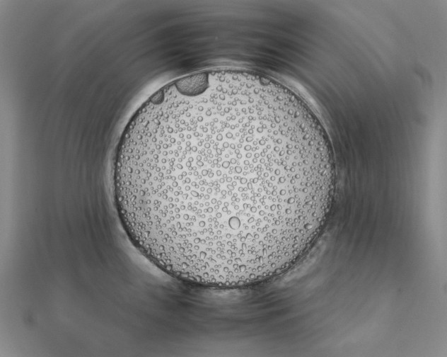 X0000111491243200908111217