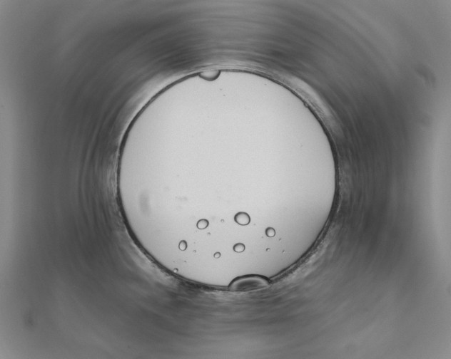 X0000111491244200908111217