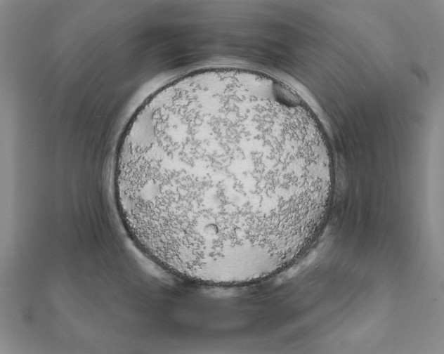 X0000111491245200908111217