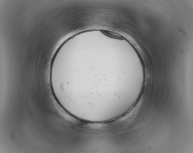 X0000111491246200908111217