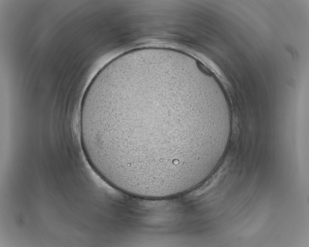 X0000111491247200908111217