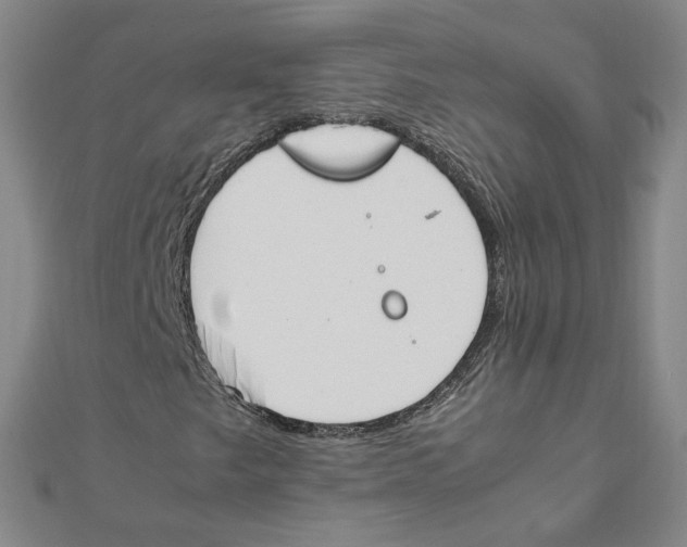 X0000111491249200908111216
