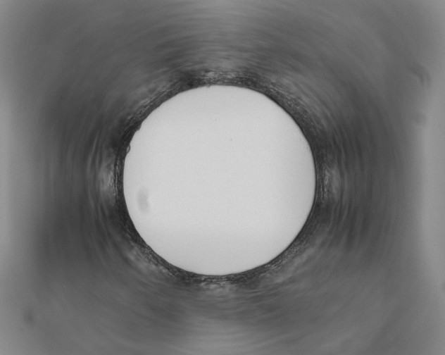 X0000111491250200908111216