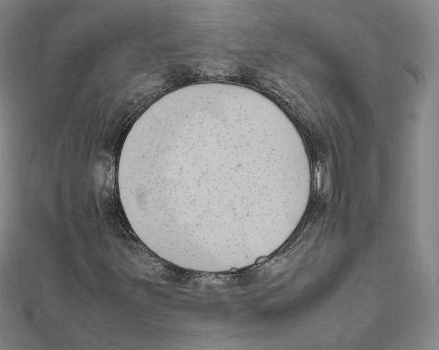 X0000111491251200908111216