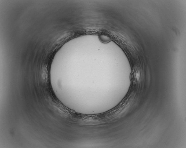X0000111491252200908111216