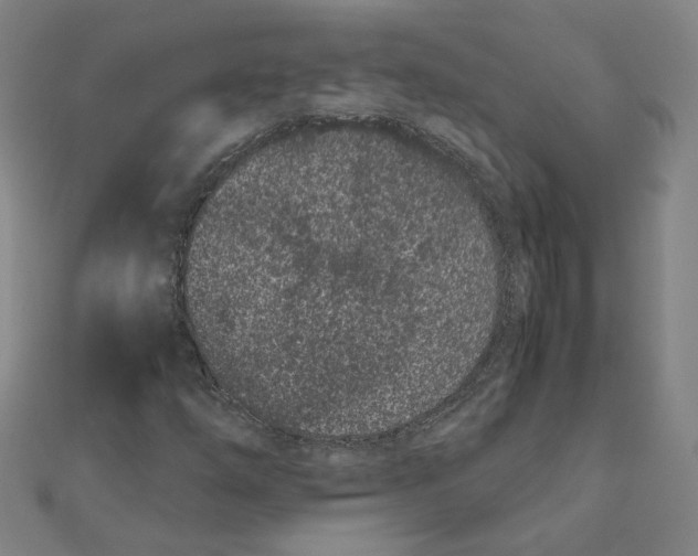 X0000111491254200908111216