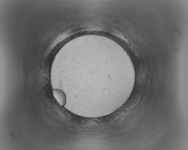 X0000111491255200908111216