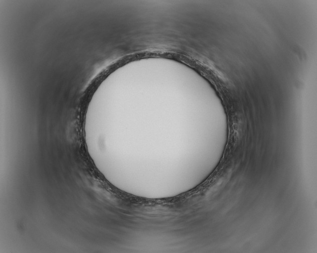 X0000111491256200908111216