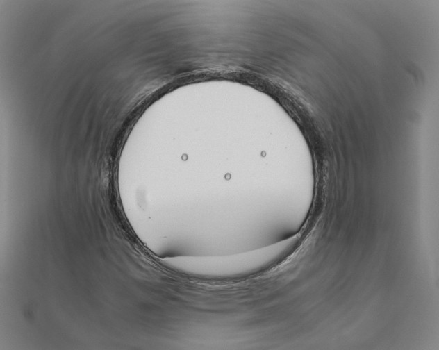 X0000111491257200908111216