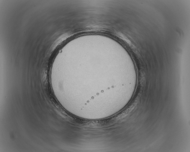 X0000111491259200908111216
