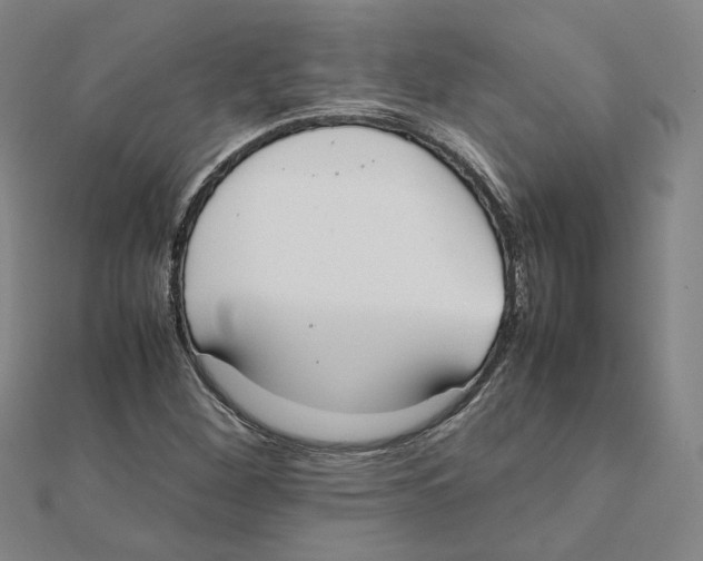 X0000111491260200908111216