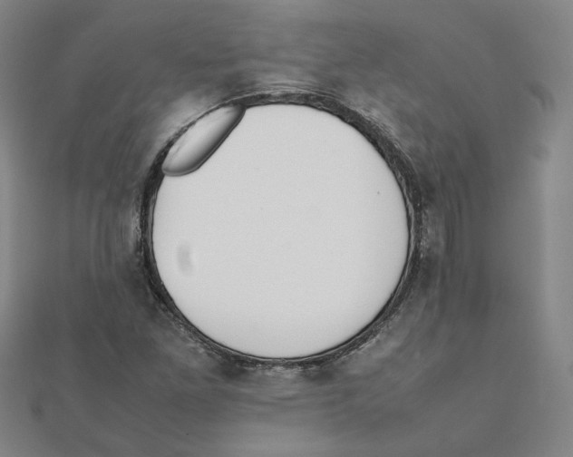 X0000111491261200908111216