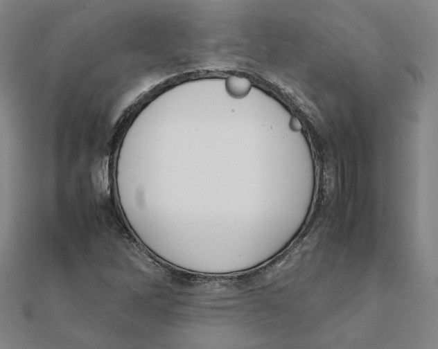 X0000111491262200908111216