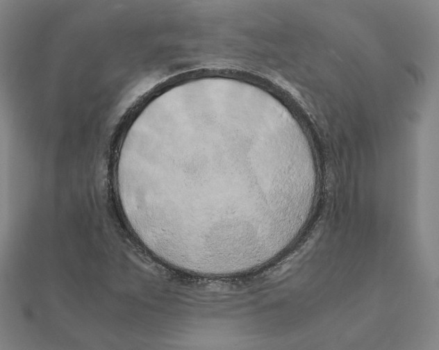 X0000111491263200908111216