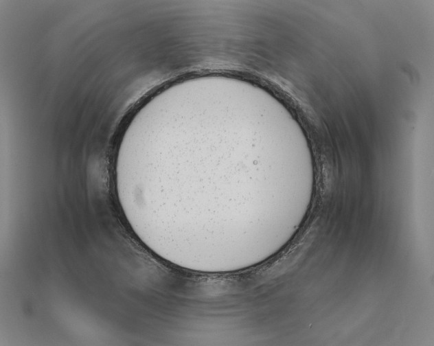 X0000111491266200908111216