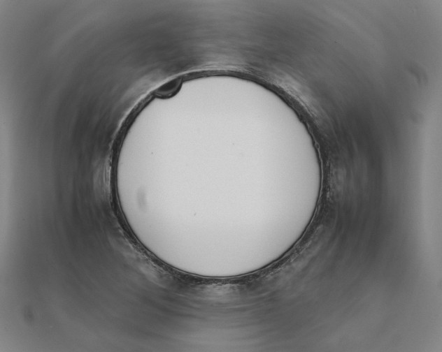 X0000111491268200908111216
