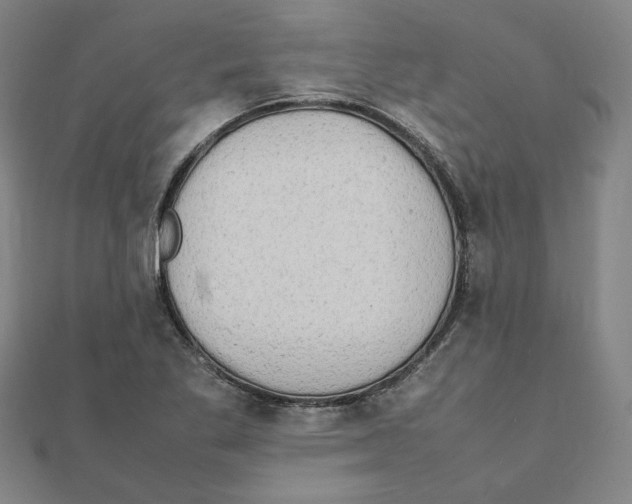 X0000111491269200908111216
