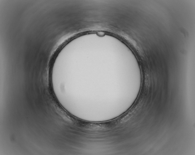 X0000111491270200908111216
