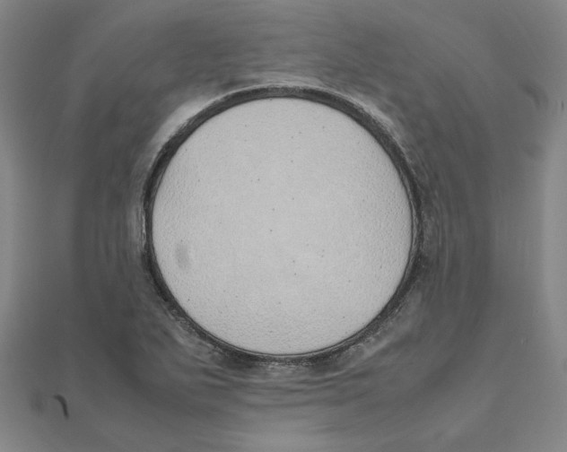 X0000111491271200908111216