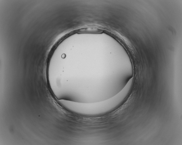 X0000111491272200908111216