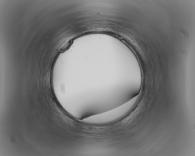 X0000111491273200908111216