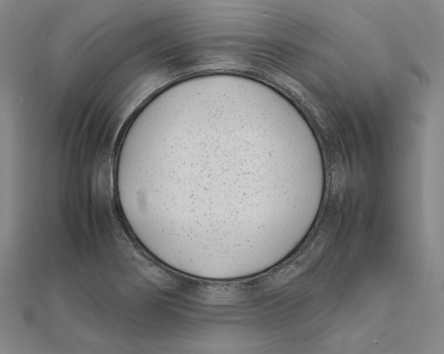 X0000111491274200908111216