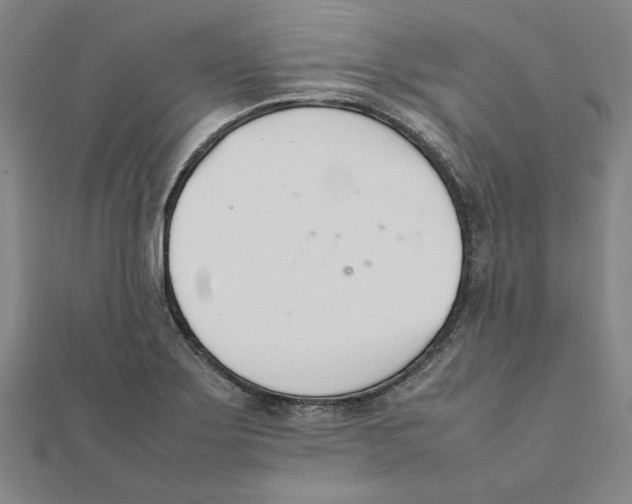 X0000111491275200908111216