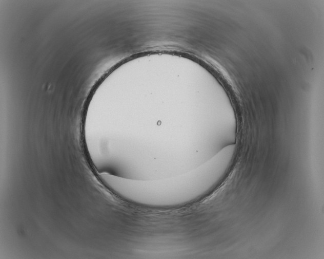 X0000111491277200908111216