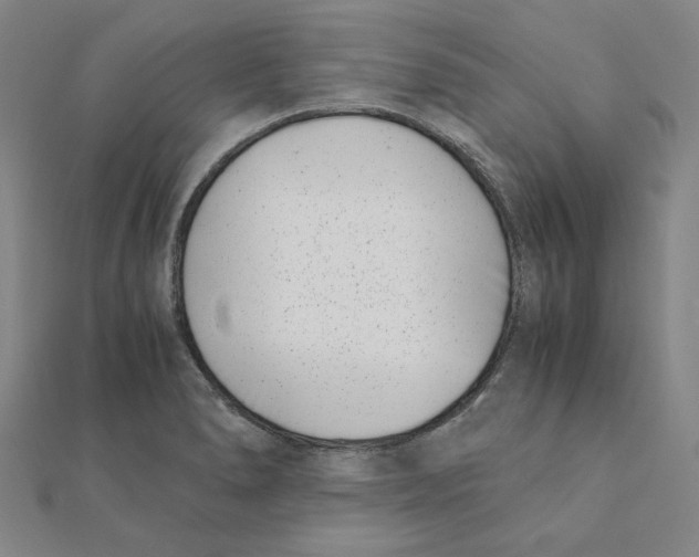 X0000111491278200908111216
