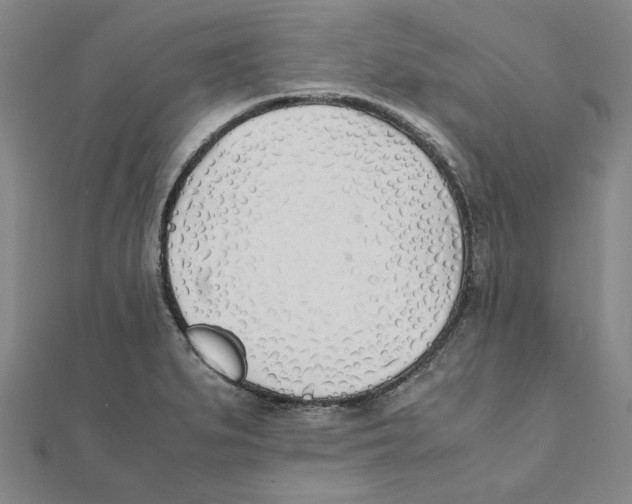 X0000111491279200908111216
