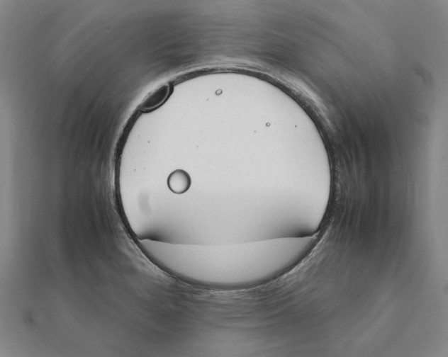 X0000111491280200908111216