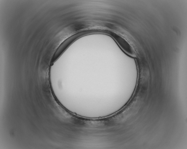 X0000111491281200908111216