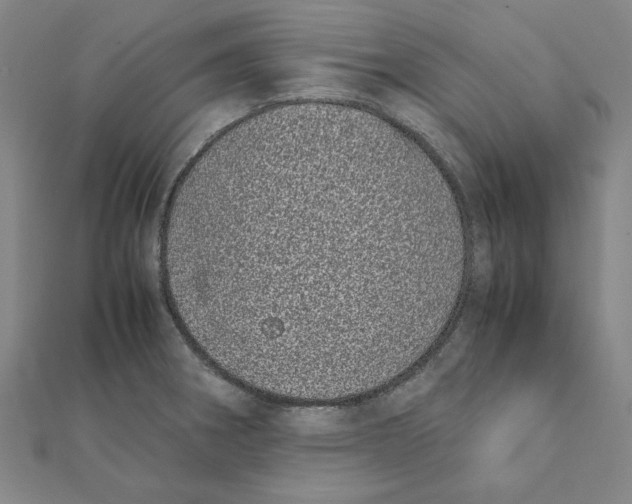 X0000111491282200908111216