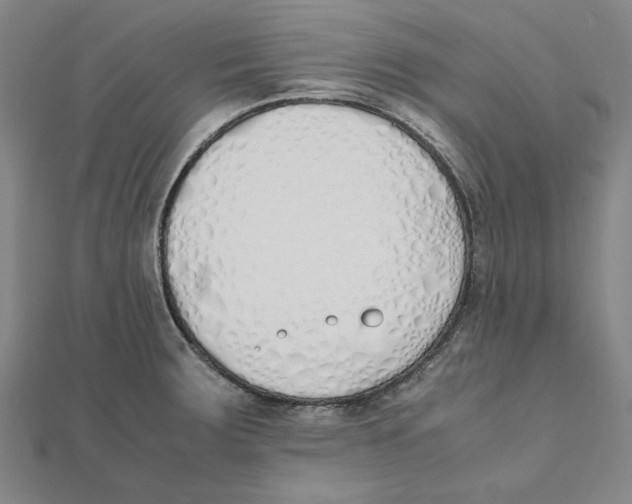 X0000111491283200908111216