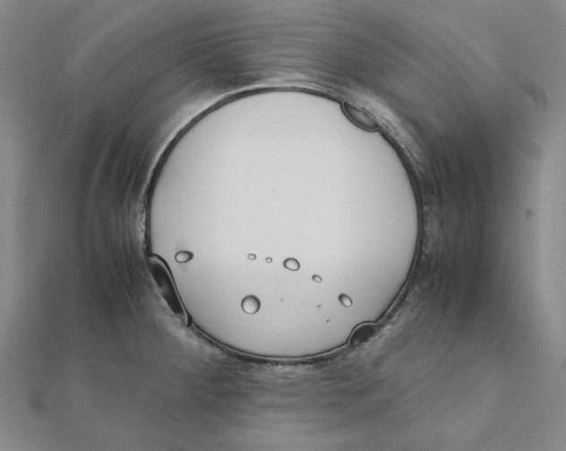 X0000111491284200908111216
