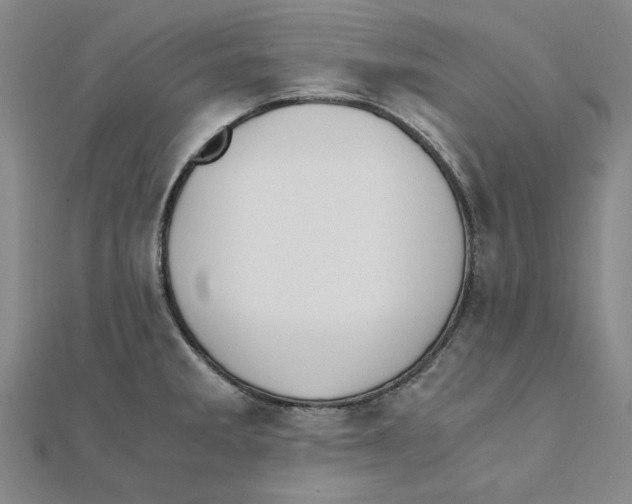 X0000111491285200908111216