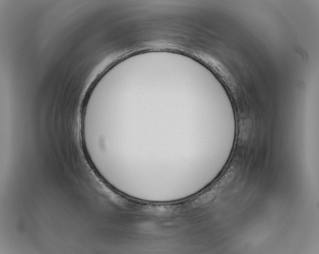 X0000111491286200908111216