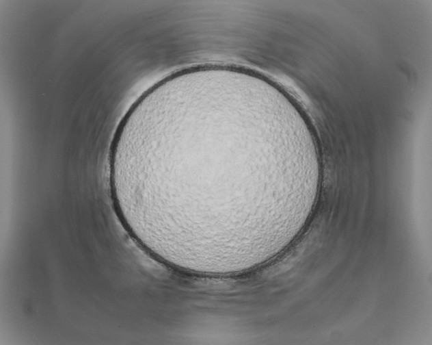 X0000111491287200908111216