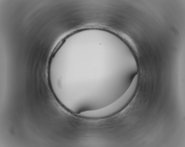 X0000111491288200908111216