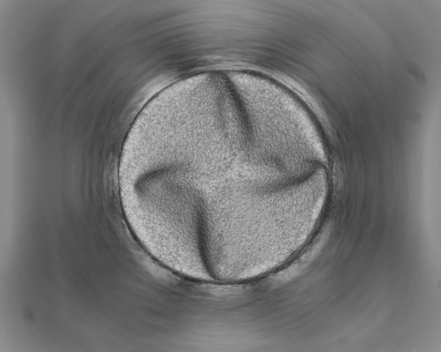 X0000111491289200908111215