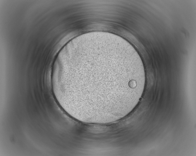 X0000111491290200908111215