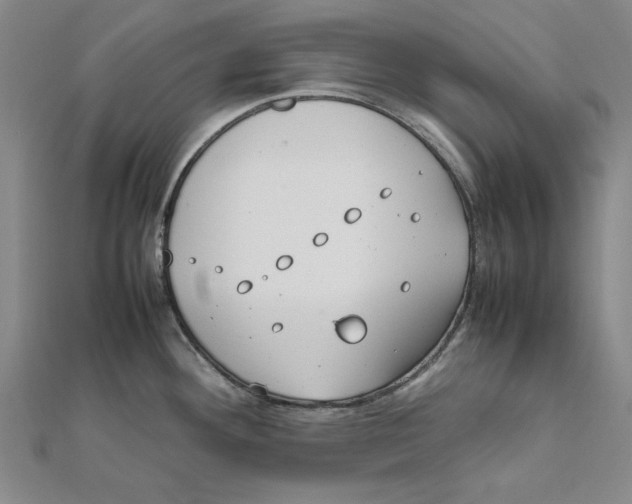 X0000111491292200908111215