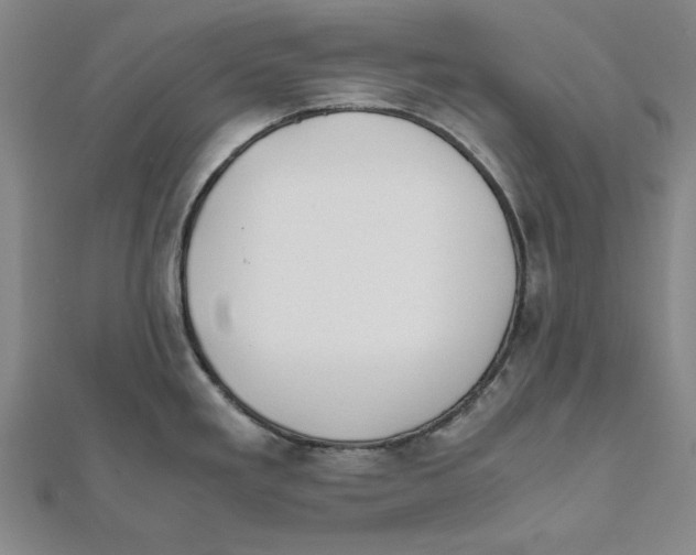 X0000111491293200908111215