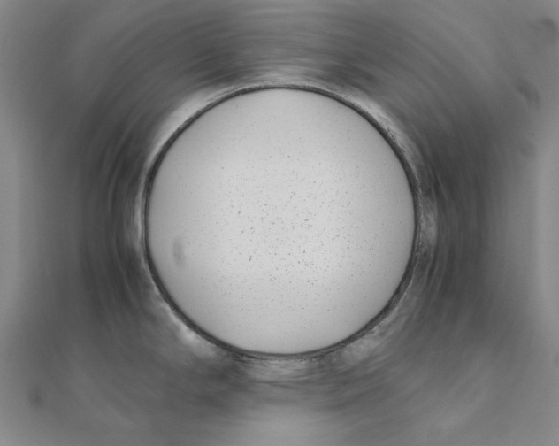 X0000111491294200908111215
