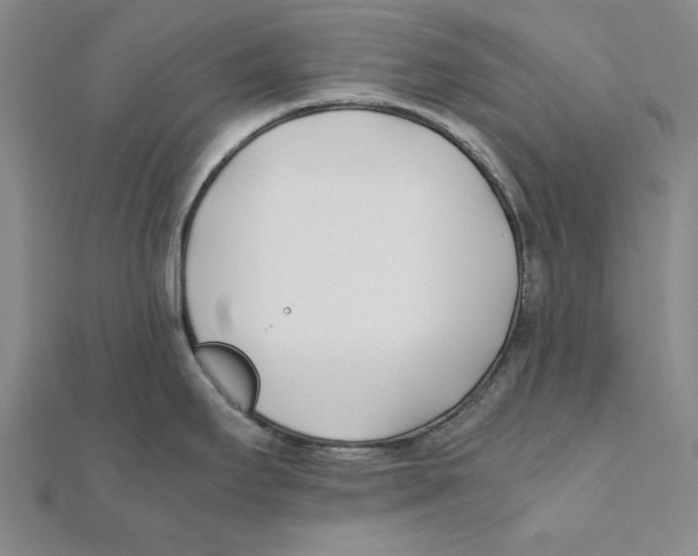X0000111491295200908111215